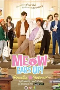 Meow Ears Up น้องเหมียวในห้องผม
