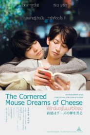 The Cornered Mouse Dreams of Cheese (2020) ให้รักฉันอยู่ในมุมหัวใจเธอ 1 ซับไทย